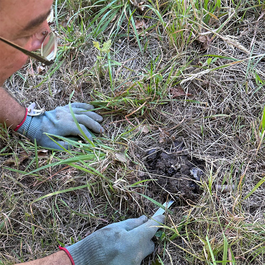 IMG-20230213-WA0012_0000_IMG-20230212-WA0016