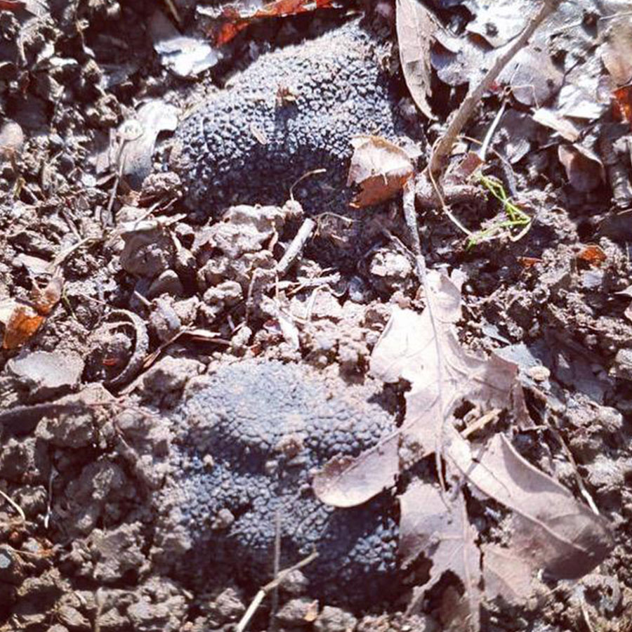 IMG-20230213-WA0012_0001_IMG-20230213-WA0006