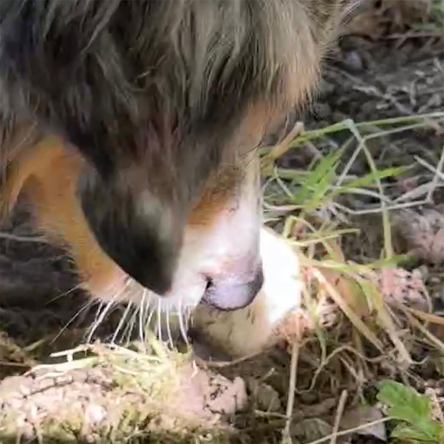 IMG-20230213-WA0012_0002_IMG-20230212-WA0014