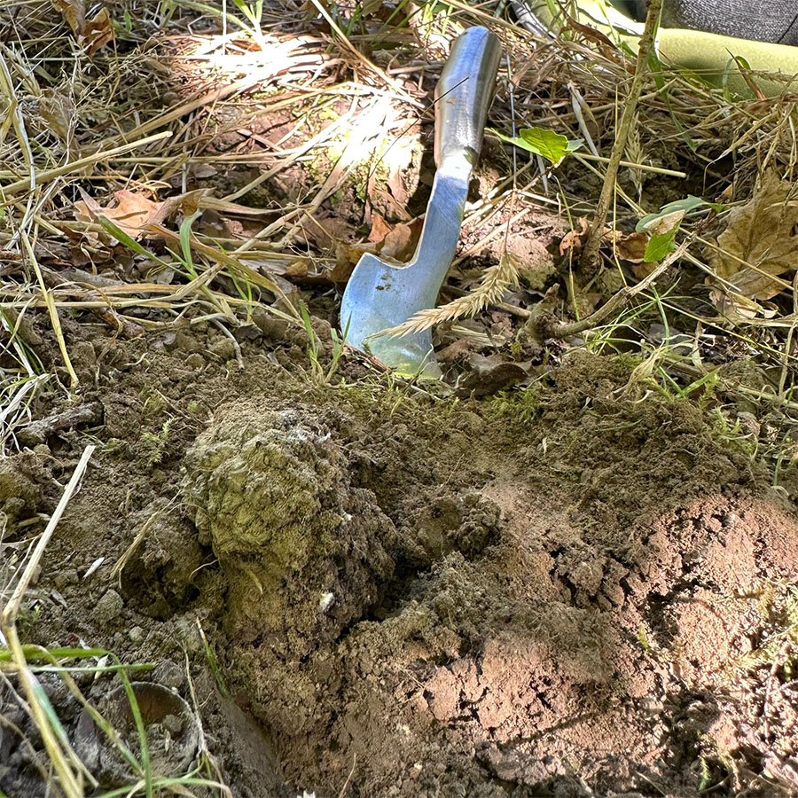 IMG-20230213-WA0012_0003_IMG-20230212-WA0018