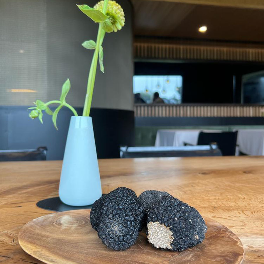 IMG-20230213-WA0012_0004_IMG-20230213-WA0016