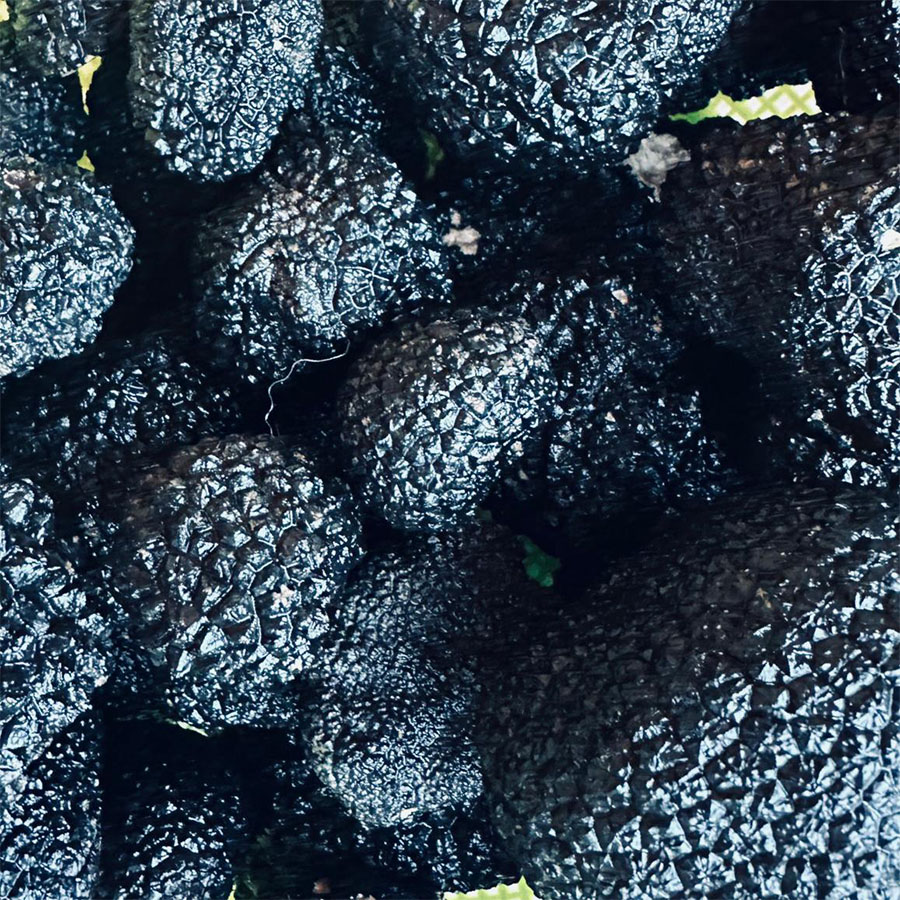 IMG-20230213-WA0012_0005_IMG-20230213-WA0011