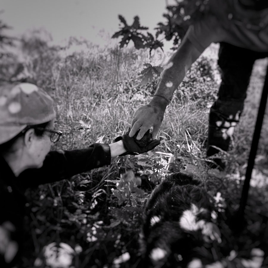 IMG-20230213-WA0012_0006_IMG-20230213-WA0013