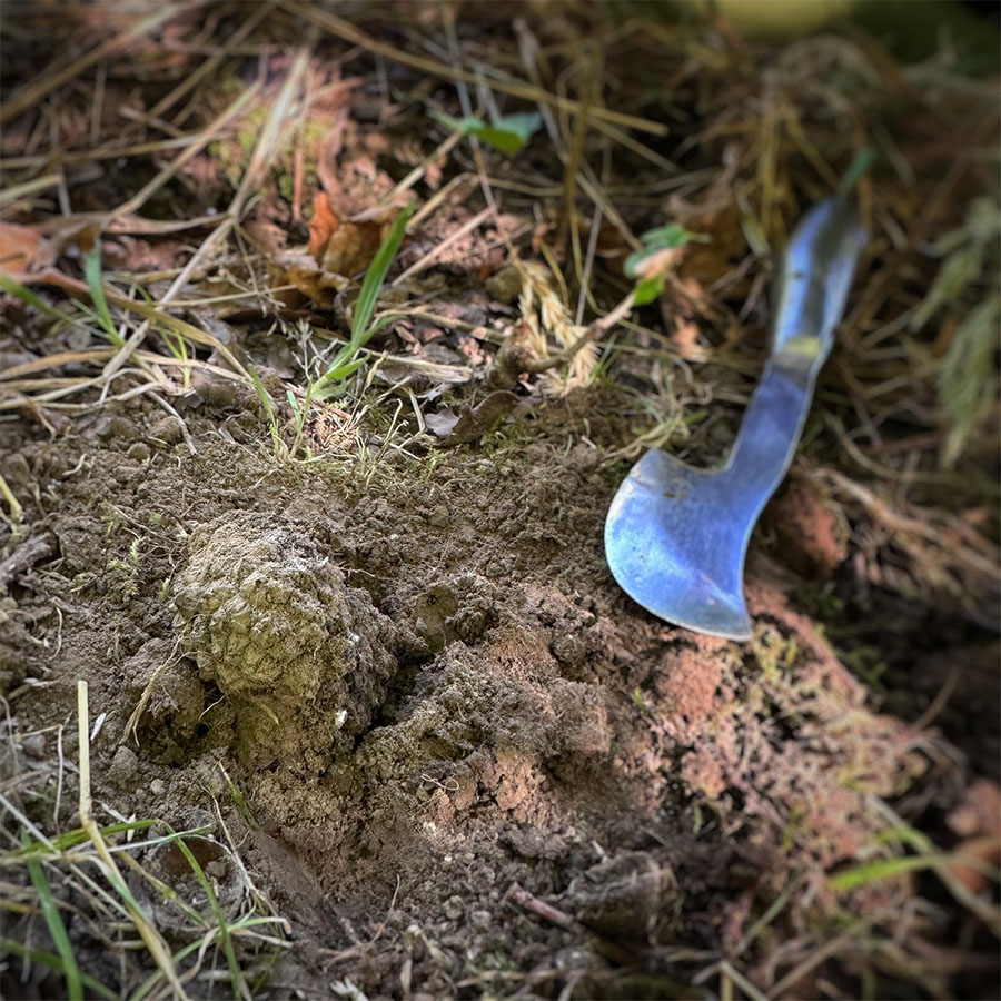 IMG-20230213-WA0012_0007_IMG-20230212-WA0017